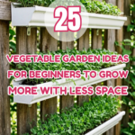 25 Vegetable Garden Ideas for Beginners to Grow More with Less Space