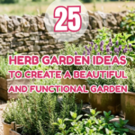 25 Herb Garden Ideas to Create a Beautiful and Functional Garden