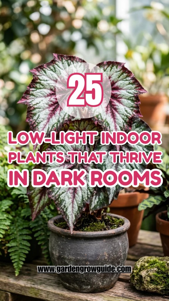 25 Low-Light Indoor Plants That Thrive in Dark Rooms