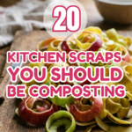20 Kitchen Scraps You Should Be Composting