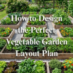 How to Design the Perfect Vegetable Garden Layout Plan