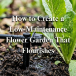 How to Create a Low-Maintenance Flower Garden That Flourishes