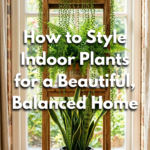 How to Style Indoor Plants for a Beautiful, Balanced Home