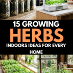 15 Growing Herbs Indoors Ideas for Every Home