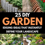 25 DIY Garden Edging Ideas That Instantly Define Your Landscape