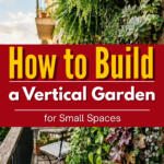 How to Build a Vertical Garden for Small Spaces