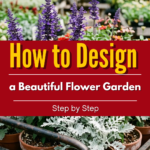 How to Design a Beautiful Flower Garden Step by Step