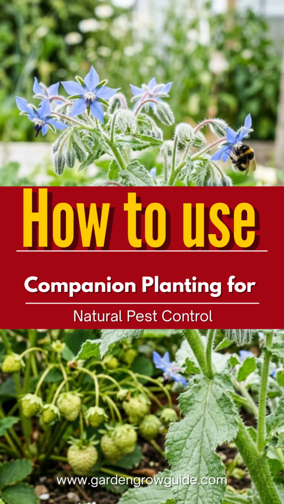 How to Use Companion Planting for Natural Pest Control