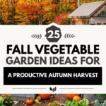 25 Fall Vegetable Garden Ideas for a Productive Autumn Harvest