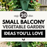 20 Small Balcony Vegetable Garden Ideas You’ll Love