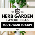 25 Herb Garden Layout Ideas You’ll Want to Copy