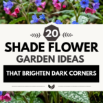 20 Shade Flower Garden Ideas That Brighten Dark Corners