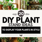20 DIY Plant Stand Ideas to Display Your Plants in Style