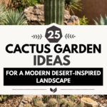 25 Cactus Garden Ideas for a Modern Desert-Inspired Landscape