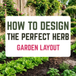 How to Design the Perfect Herb Garden Layout