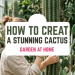 How to Create a Stunning Cactus Garden at Home