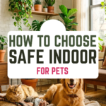 How to Choose Safe Indoor Plants for Pets