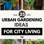 25 Urban Gardening Ideas for City Living