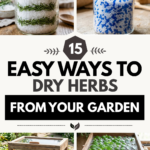 15 Easy Ways to Dry Herbs from Your Garden
