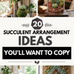 20 Succulent Arrangement Ideas You’ll Want to Copy