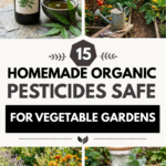 15 Homemade Organic Pesticides Safe for Vegetable Gardens