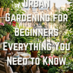 Urban Gardening for Beginners: Everything You Need to Know