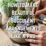 How to Make Beautiful Succulent Arrangements Like a Pro