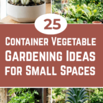 25 Container Vegetable Gardening Ideas for Small Spaces