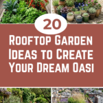 20 Rooftop Garden Ideas to Create Your Dream Oasis