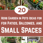20 Herb Garden in Pots Ideas for Patios, Balconies, and Small Spaces