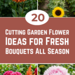 20 Cutting Garden Flower Ideas for Fresh Bouquets All Season