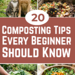 20 Composting Tips Every Beginner Should Know