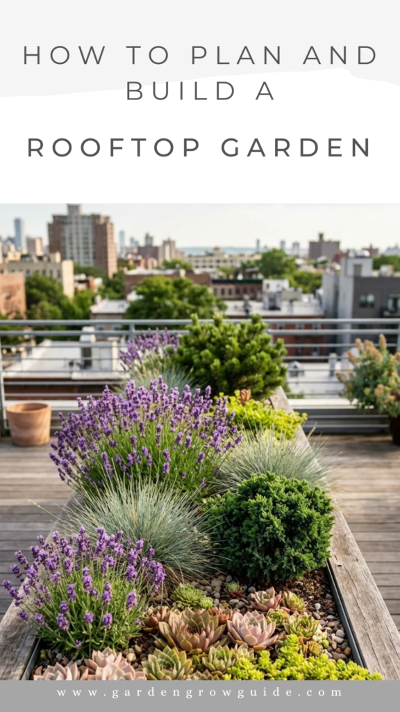 How to Plan and Build a Rooftop Garden