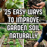 25 Easy Ways to Improve Garden Soil Naturally