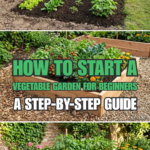 How to Start a Vegetable Garden for Beginners: A Step-by-Step Guide