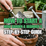 How to Start a Herb Garden: A Beginner’s Step-by-Step Guide