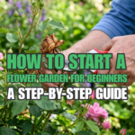 How to Start a Flower Garden for Beginners: A Step-by-Step Guide