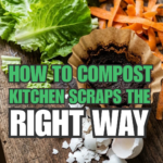 How to Compost Kitchen Scraps the Right Way