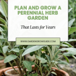 How to Plan and Grow a Perennial Herb Garden That Lasts for Years