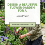 How to Design a Beautiful Flower Garden for a Small Yard