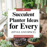25 Succulent Planter Ideas for Every Style and Space