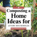 20 Composting at Home Ideas for Every Household
