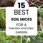 15 Best Soil Mixes for a Thriving Vegetable Garden