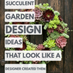 25 Succulent Garden Design Ideas That Look Like a Designer Created Them