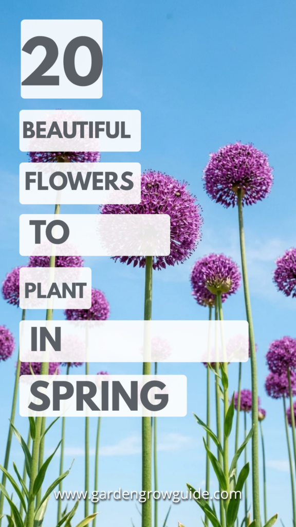 20 Beautiful Flowers to Plant in Spring