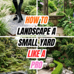 How to Landscape a Small Yard Like a Pro