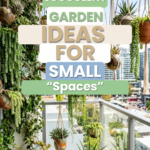 20 Hanging Succulent Garden Ideas for Small Spaces