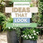 20 Budget-Friendly Landscaping Ideas That Look Expensive