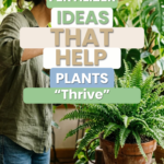 20 Natural Fertilizer Ideas That Help Plants Thrive
