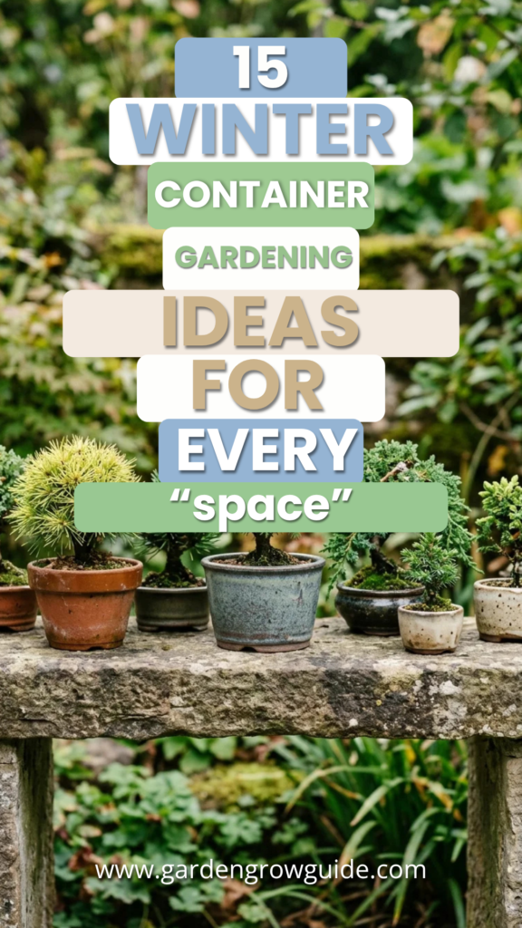 15 Winter Container Gardening Ideas for Every Space